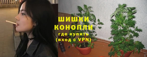 сатива Абаза