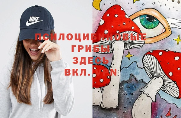мяу мяу кристалл Алексин