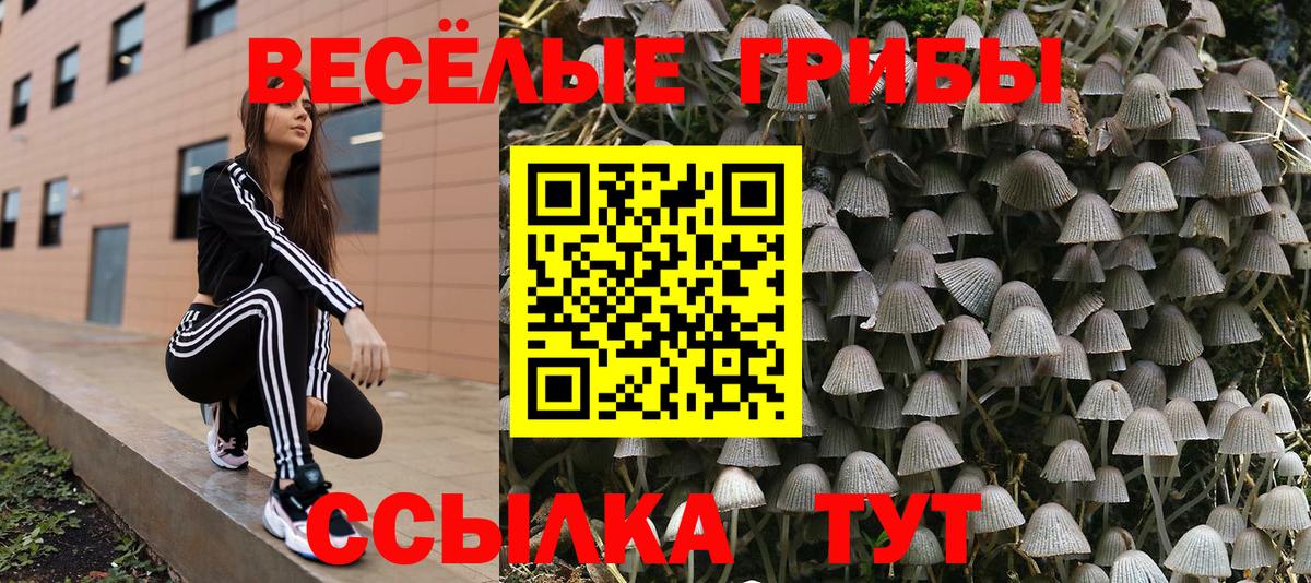 Черемхово  Псилоцибиновые грибы мухоморы  Вход с VPN 