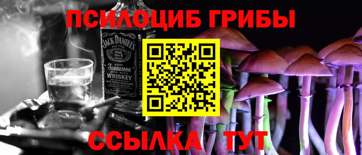 Псилоцибиновые грибы Psilocybine cubensis Черемхово