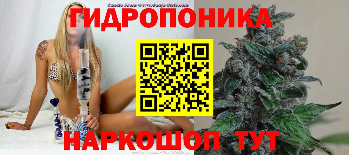 Каннабис MAZAR  Вход с VPN  Черемхово  Бошки Шишки SATIVA & INDICA 